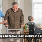 Developing a Cohesive Team Culture in a Care Home