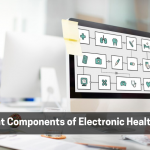 Important Components of Electronic Health Records